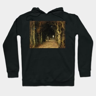 Lady Absinth (Arcade, Avenue of Sighs) by Ferdinand Keller Hoodie